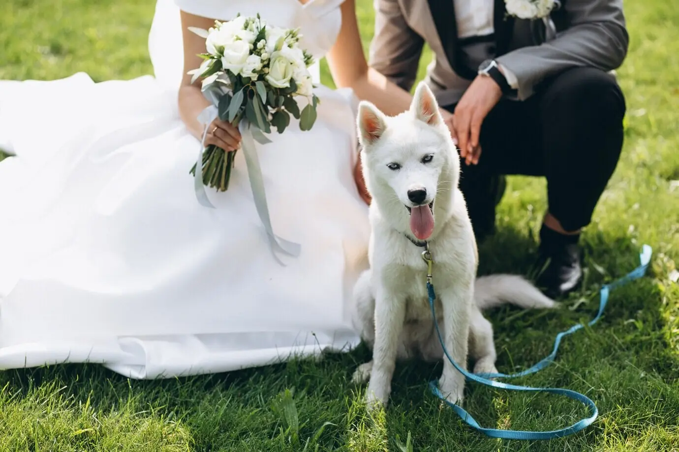 Die Braut und der Bräutigam mit ihrem Hund an ihrem Hochzeitstag.